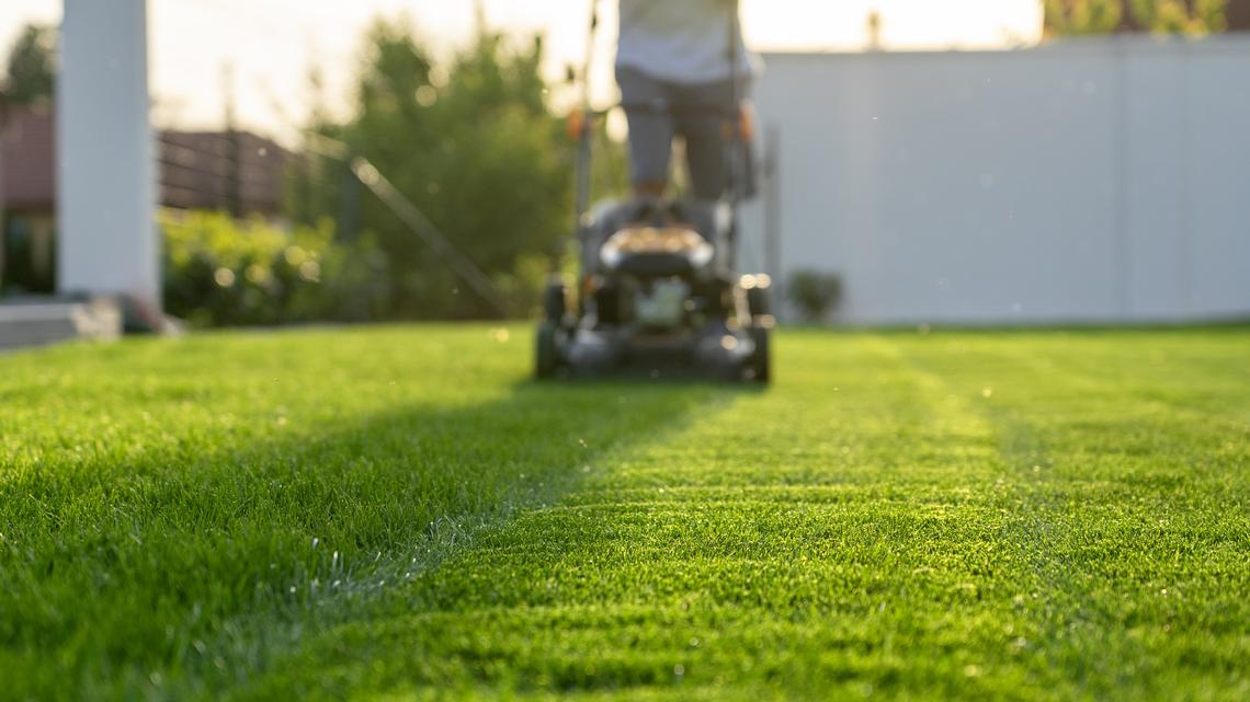 This Self-Propelled Electric Lawn Mower With a Near-Perfect Rating Is Over $400 Off Right Now 