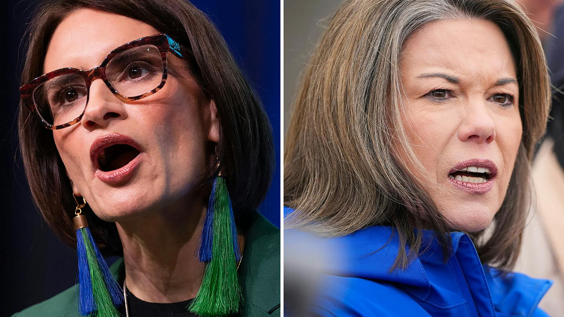 What to know about the Minnesota Senate election 