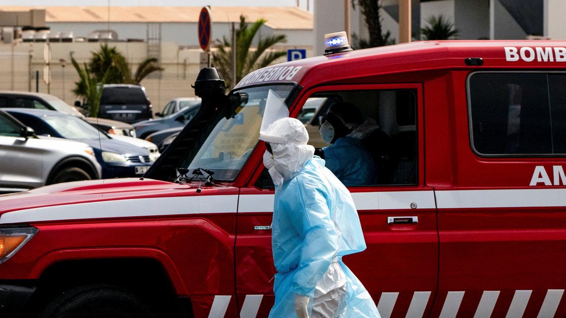 Explainer-What is the hantavirus that killed three cruise ship passengers? 
