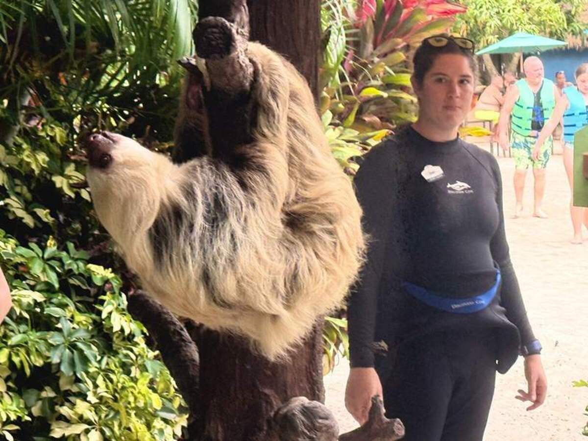  Animal encounters are available throughout the day, such as hanging out with a sloth, and are included with admission. Photo credit: Mikkel Woodruff 
