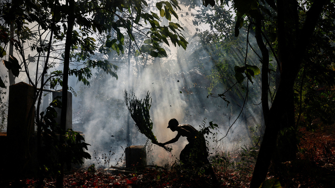 In El Nino-hit Sri Lanka, wells run dry and farmer incomes shrink as drought deepens 