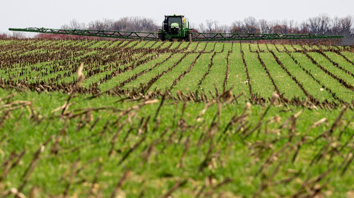 A tractor fertilizes the ground on a farm in Ruthsburg, Maryland, on March 20, 2025. Reply rates for the USDA’s annual prospective planting report sank in March to a record low, with just over a third of 73,800 farm operations surveyed answering questions on the acres they will plant this spring.