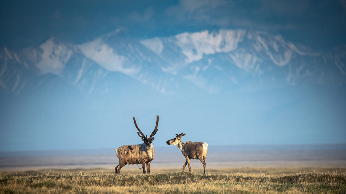 WA AG files brief opposing drilling in Arctic
