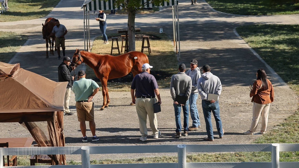 Keeneland September Yearling Sale Set To Start 