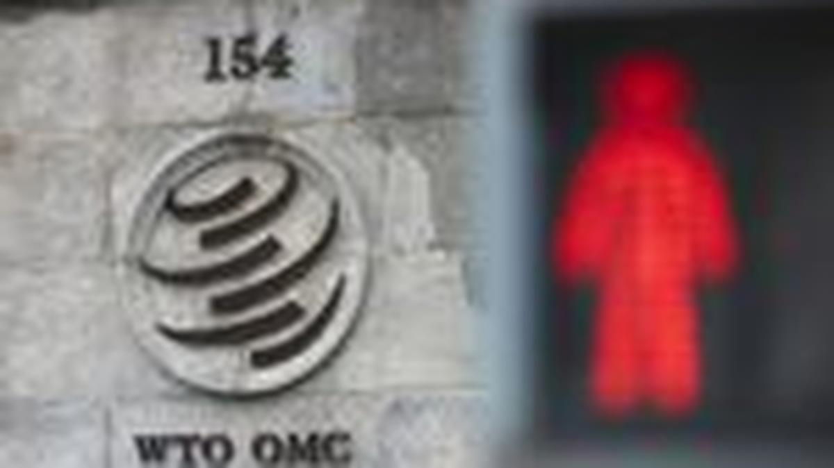FILE PHOTO: A logo is pictured on the World Trade Organisation (WTO) building in Geneva, Switzerland, July 15, 2021. REUTERS/Denis Balibouse/File Photo