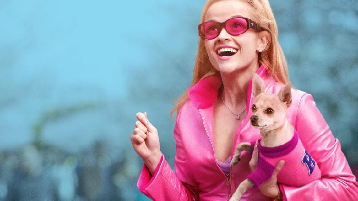 'Legally Blonde' screenwriters discuss legal precedent, 'bend & snap' 