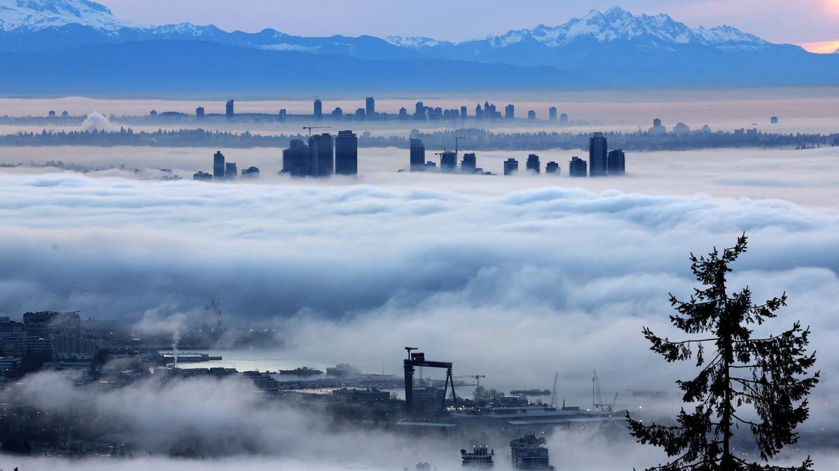 Building tops in Burnaby and Surrey rise above the fog at dawn, as seen from Cypress Mountain in West Vancouver, British Columbia, January 20, 2026. American applications for Canadian citizenship surged following a rule change that extended eligibility to more descendants of Canadians.