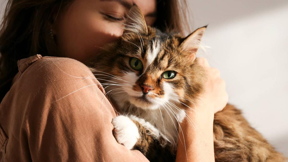 Woman holding a cat. 