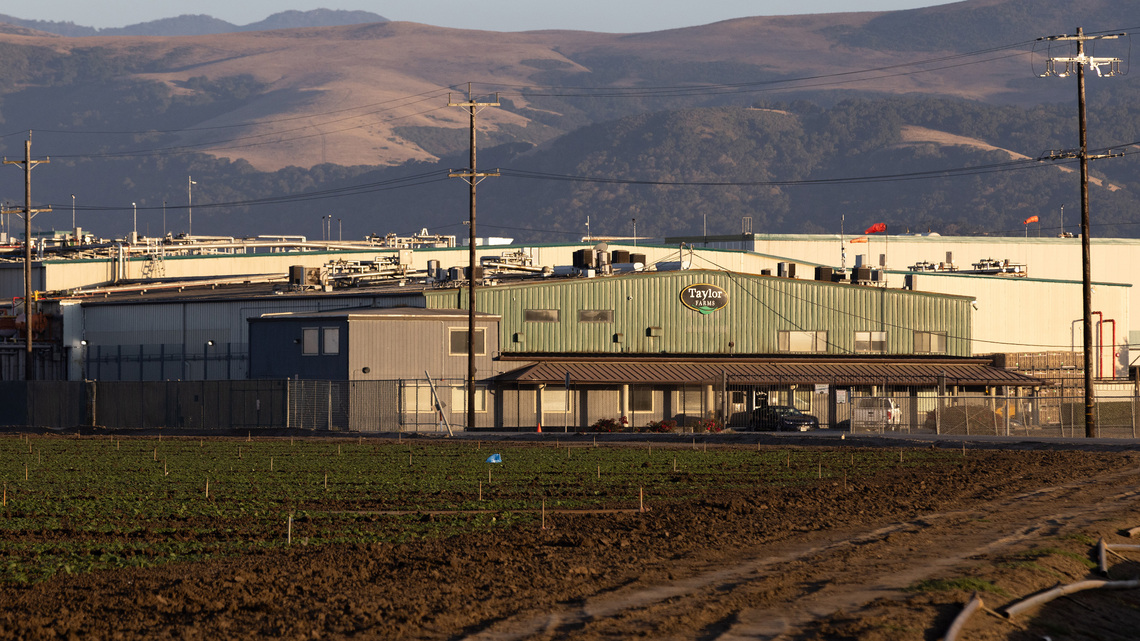 4 more states report cyclosporiasis outbreak. Here's how the FDA does a traceback investigation 