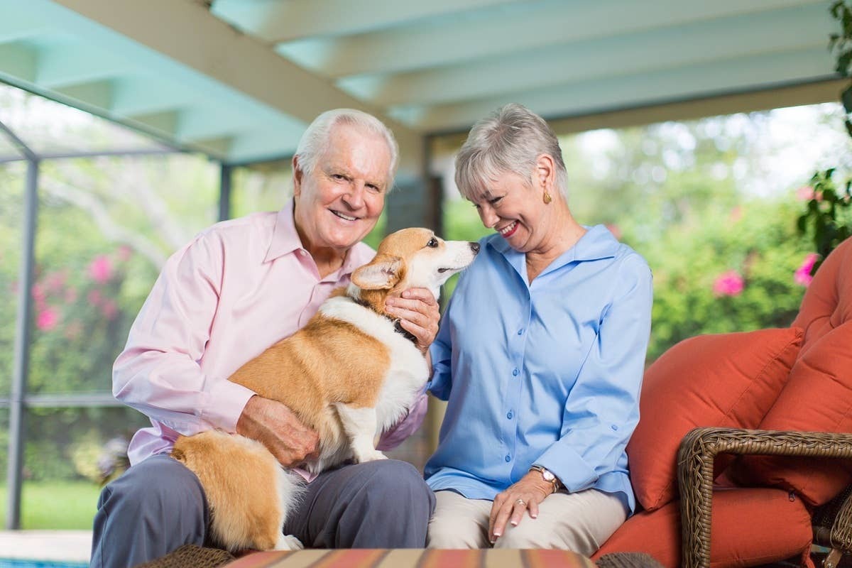  Loyal watchdog breeds can help seniors feel safer at home.