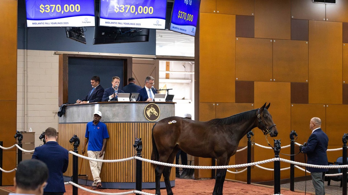 Fasig-Tipton's 2026 Eastern Fall Yearling Sale Catalog Now Online 