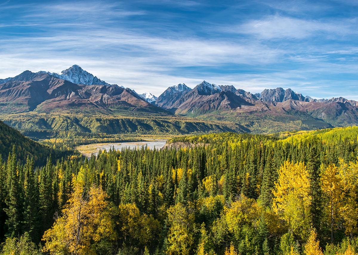  Martin Capek // Shutterstock 