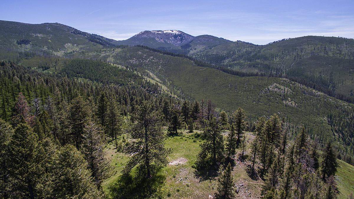 A section of the Colville National Forest is shown in this file photo