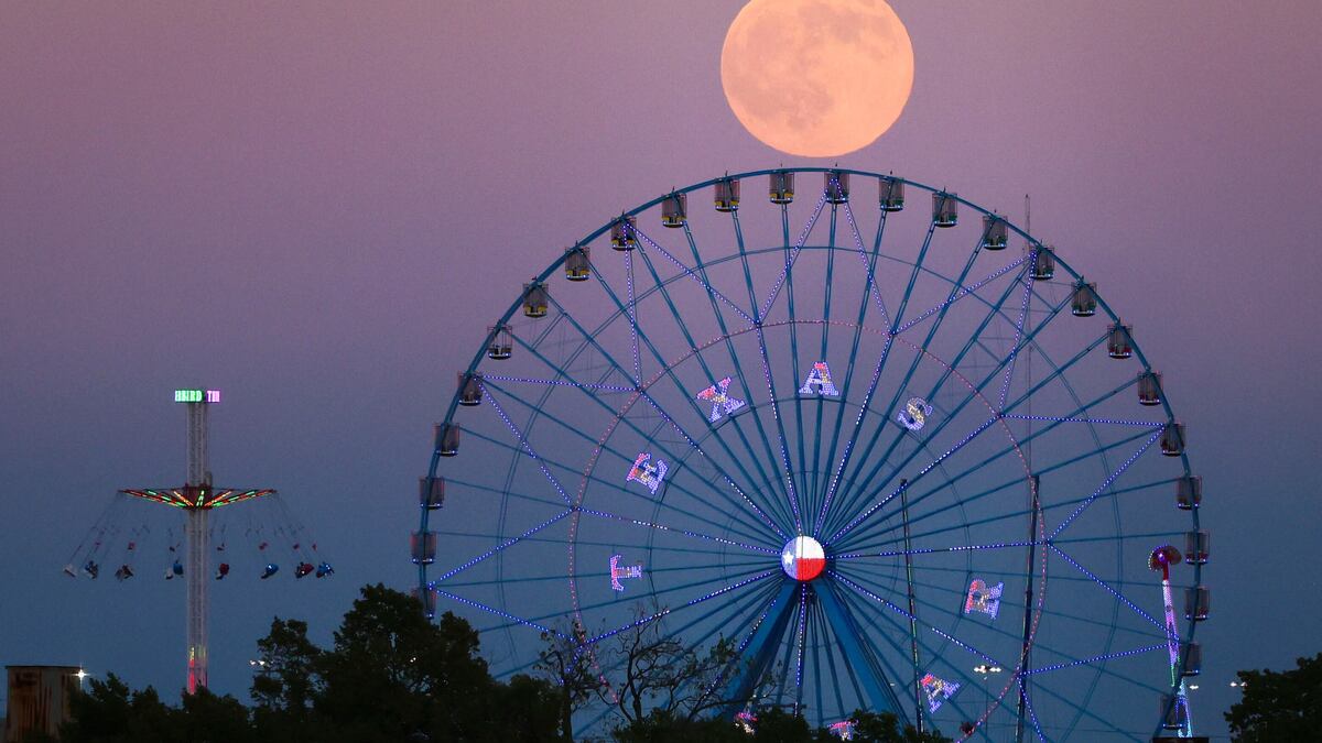 The Harvest full moon rises over the Texas Star Ferris wheel during the State Fair of Texas, on Monday, Oct. 6, 2025, in Dallas. (Shafkat Anowar/The Dallas Morning News/TNS)