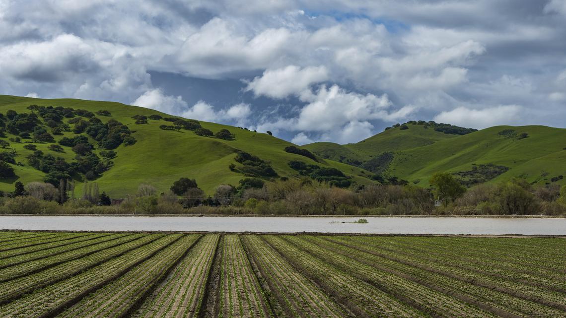 California Surface Water Tests Find Half of Samples Had ‘Forever Chemicals' 
