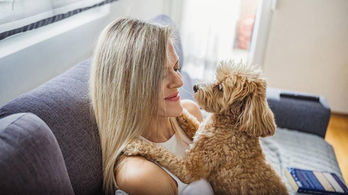 10 Signs Your Dog Is Happy, Relaxed and Trusts You 