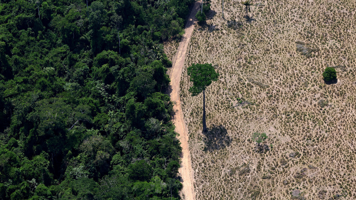 La justicia de Brasil respalda las leyes que congelaron un pacto contra la deforestación del Amazonas 