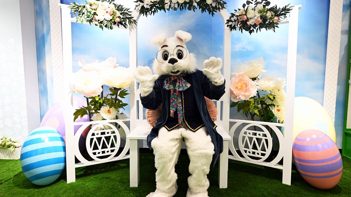 NJ Man Arrested at Mall for Groping Woman in Easter Bunny Suit 