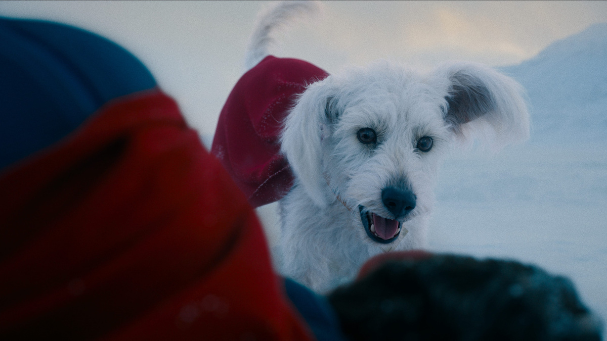 The computer-generated Krypto appears in both "Superman" and "Supergirl."