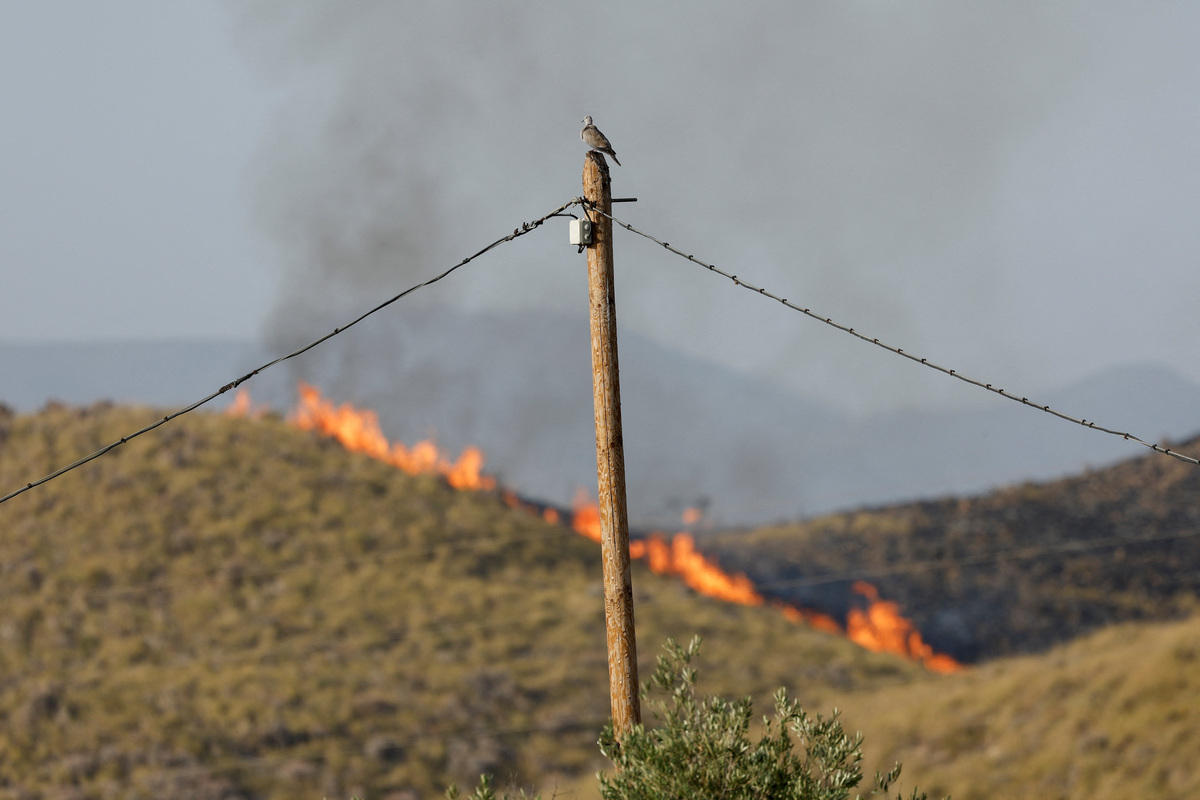A pigeon sits on a pole as smoke rises from wildfire affecting Almeria province, in Los Gallardos, Spain, July 11, 2026. REUTERS/Jon Nazca