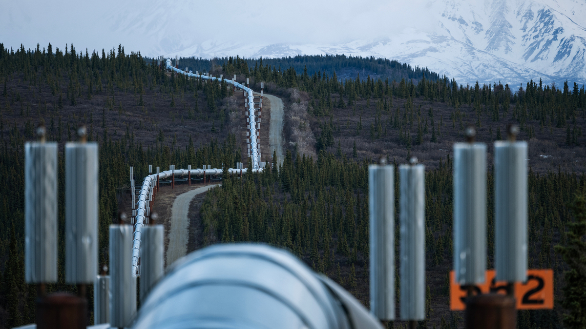The Trans-Alaska Pipeline is seen from the Richardson Highway on May 3, 2025. (Marc Lester/Anchorage Daily News/TNS)