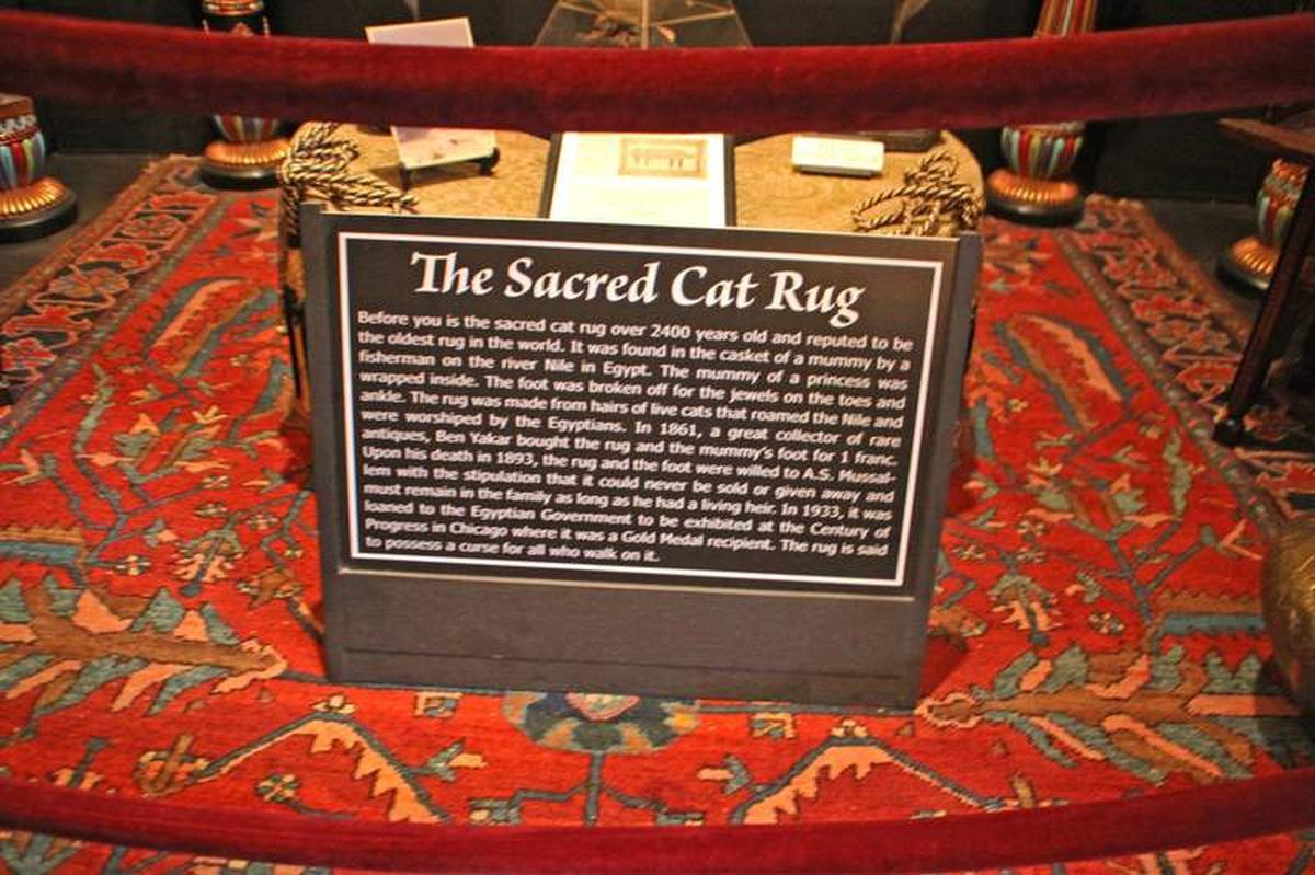  The Sacred Cat Rug, one of the oldest articles at Villa Zorayda Museum. Photo credit: Kathleen Walls 