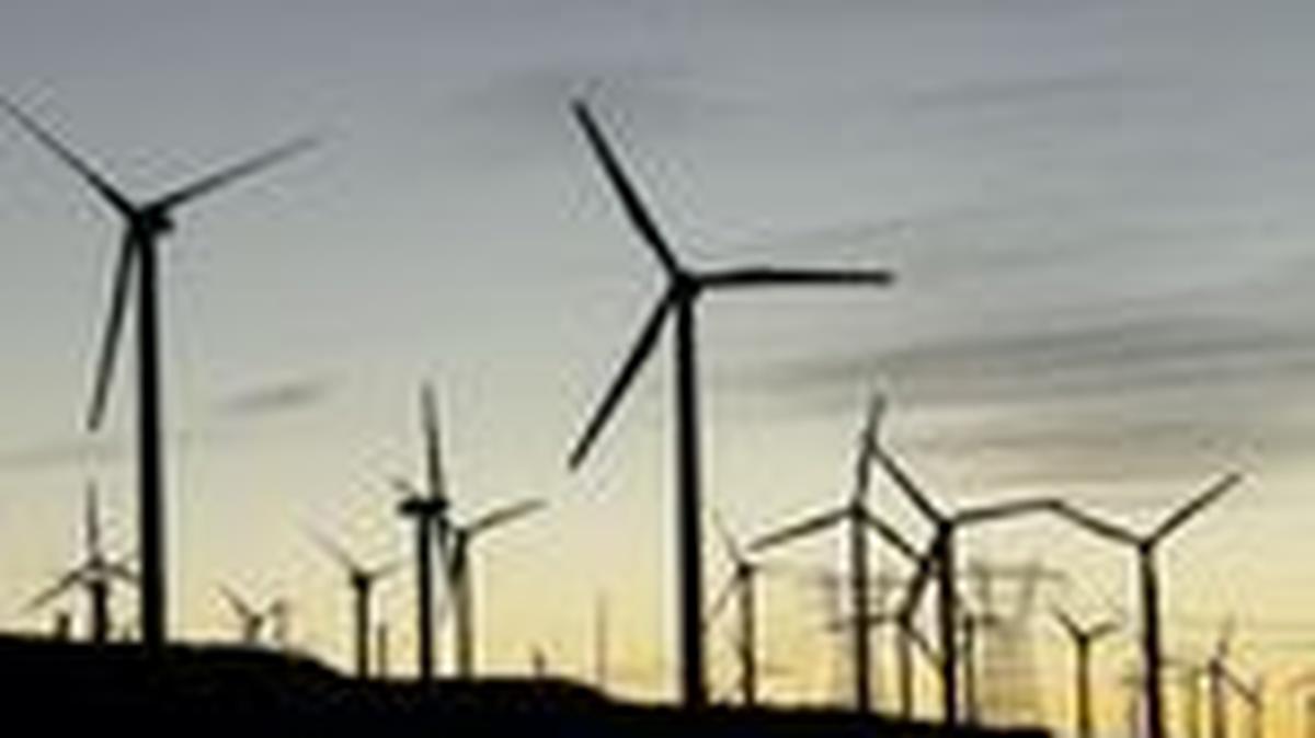 Wind turbines are shown in Palm Springs, California, U.S., October 12, 2024. REUTERS/Mike Blake
