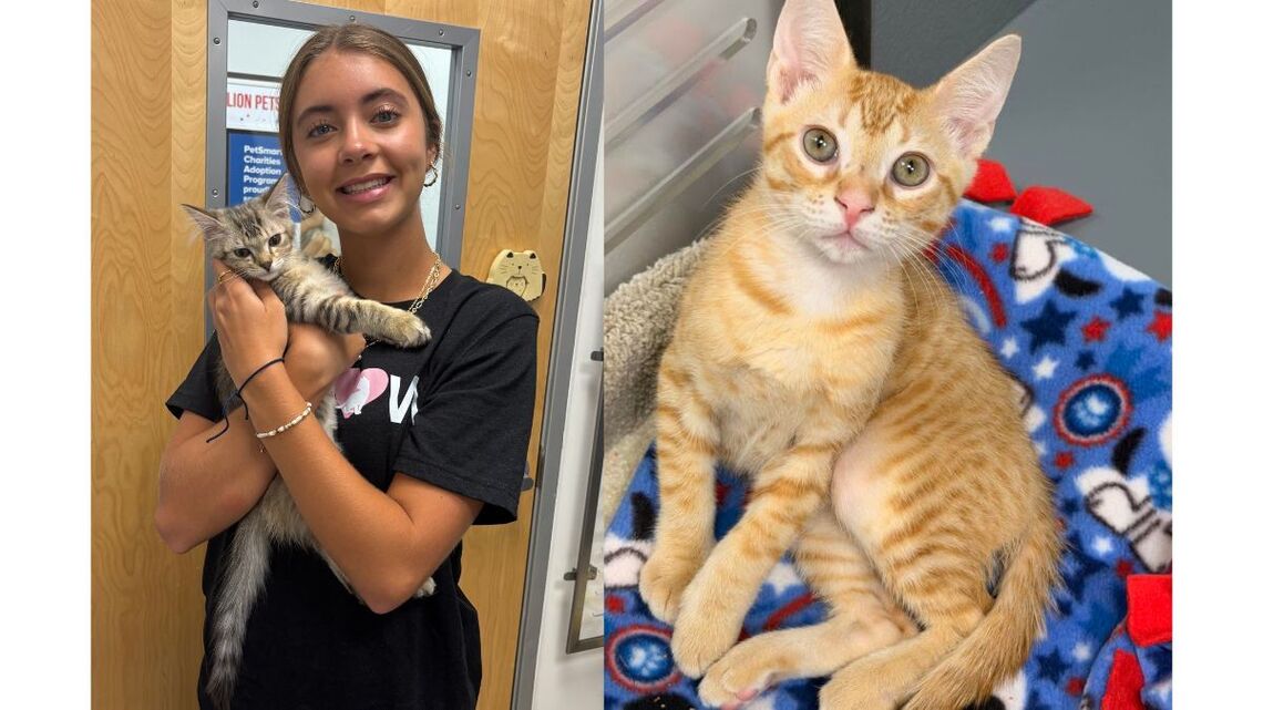 How a Lonely Teen Used Yard Flamingos to Raise $25K for Rescue Pets