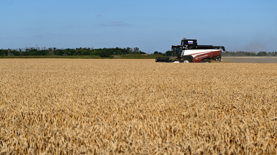 Analysis | Decades of farm gains, inventories strengthen food system against 'super' El Nino