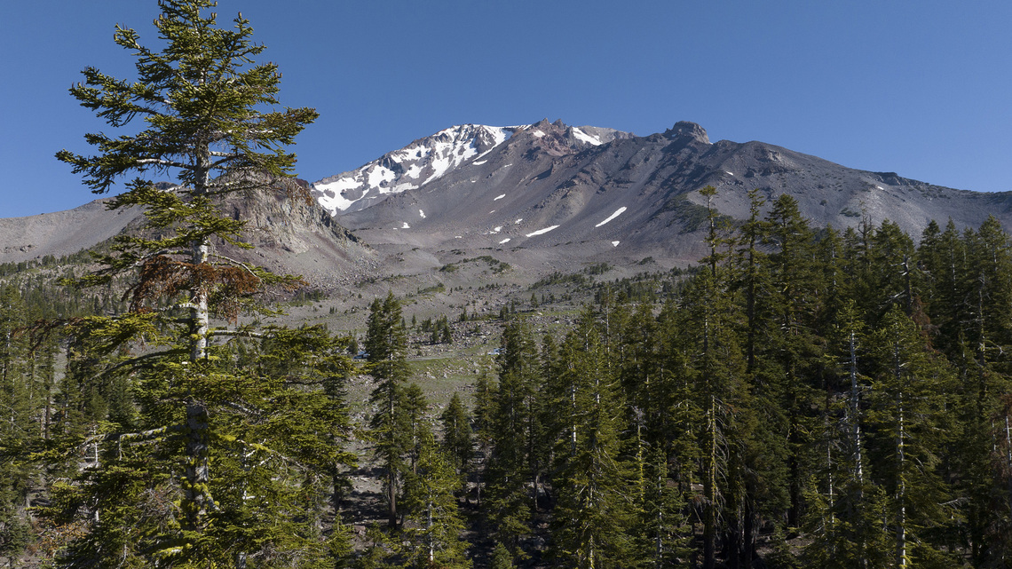 Father-son duo kidnapped US Forest Service workers, held them hostage, feds say 