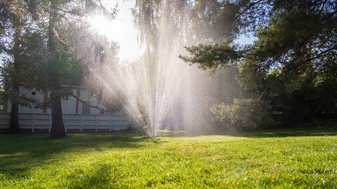 Want a Greener Lawn Next Summer? Plant These Drought-Tolerant Grasses This Fall 