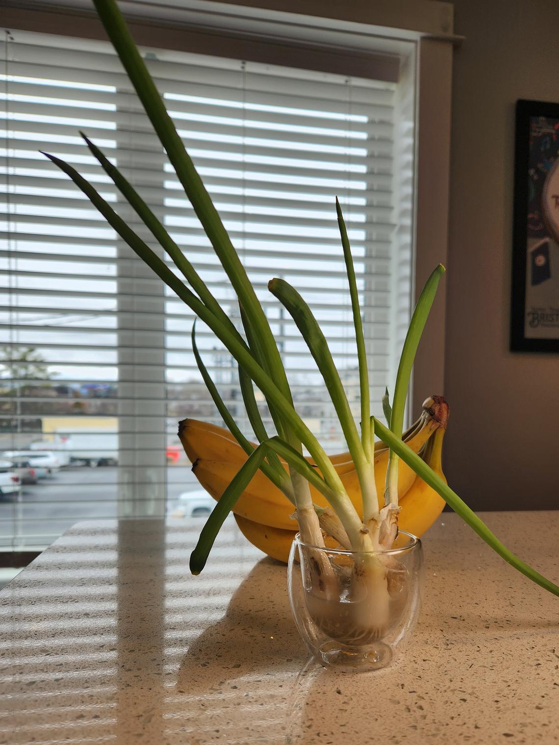 Myscha Theriault/Myscha Theriault/TNS