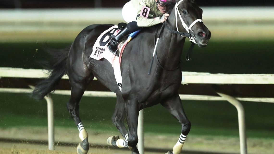 Teachintherelease Highlights West Virginia Breeders Classic Night 