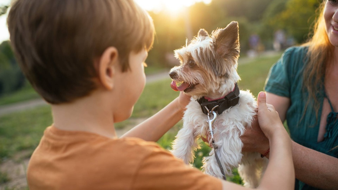 New Puppy Brand Wants to Take the Stress Out of Those Chaotic First Weeks Home 