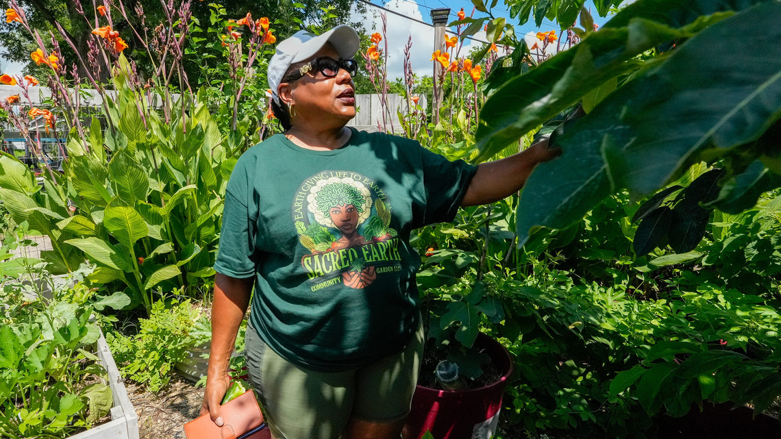 At West End nonprofit, youth get paid to become green thumbs 