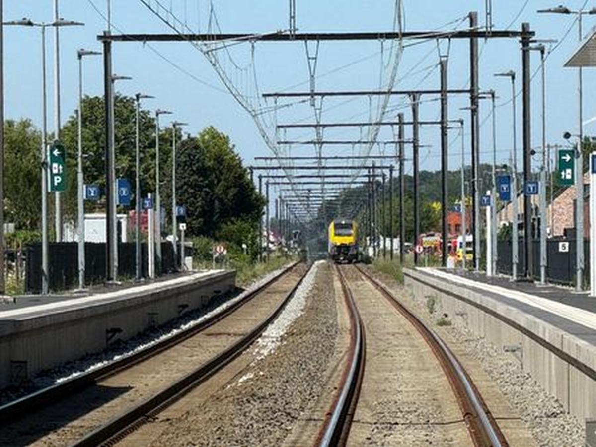 Emergency vehicles operate near the scene where a school bus was struck by a train at a level crossing leading to multiple casualities, near the town of Buggenhout, Belgium, May 26, 2026. REUTERS/Bart Biesemans