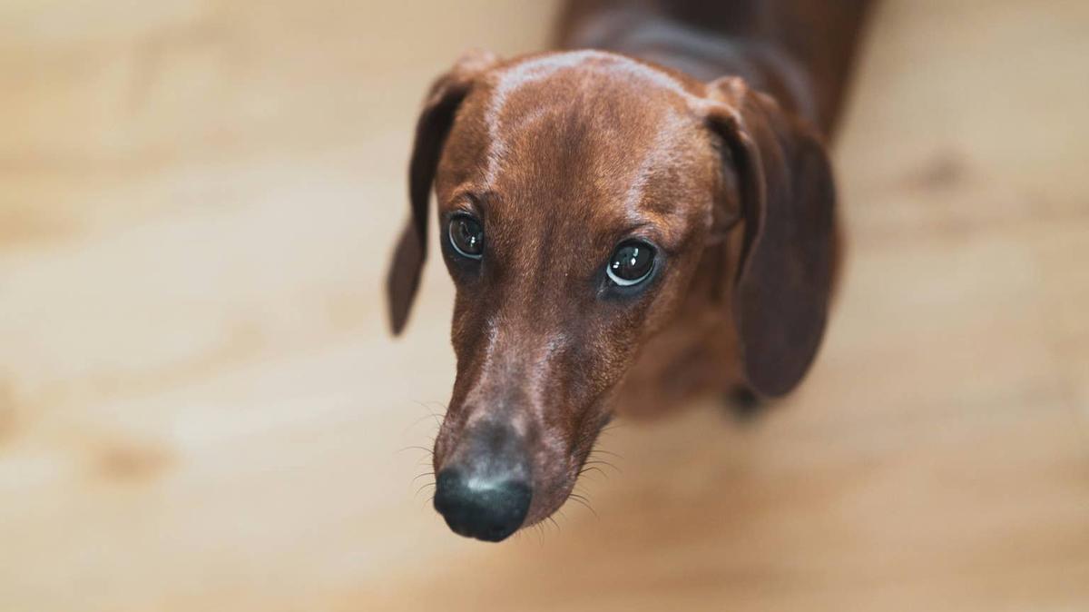 arena photography