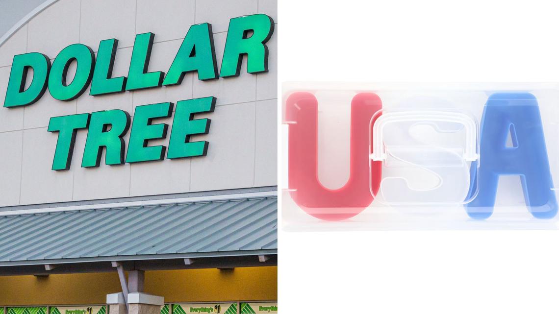 Dollar Tree Sells a $3 Version of This Viral Snack Container