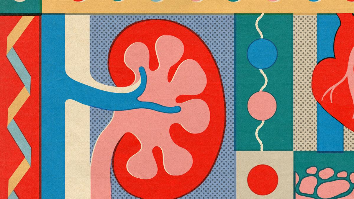 Most Americans eat more protein than they need. We asked experts what can happen if people have too much of a good thing. (Elena Boils/The New York Times)  -- FOR EDITORIAL USE ONLY WITH NYT STORY SLUGGED SCI PROTEIN RISKS BY SOPHIE EGAN FOR MAY 28, 2026. ALL OTHER USE PROHIBITED --