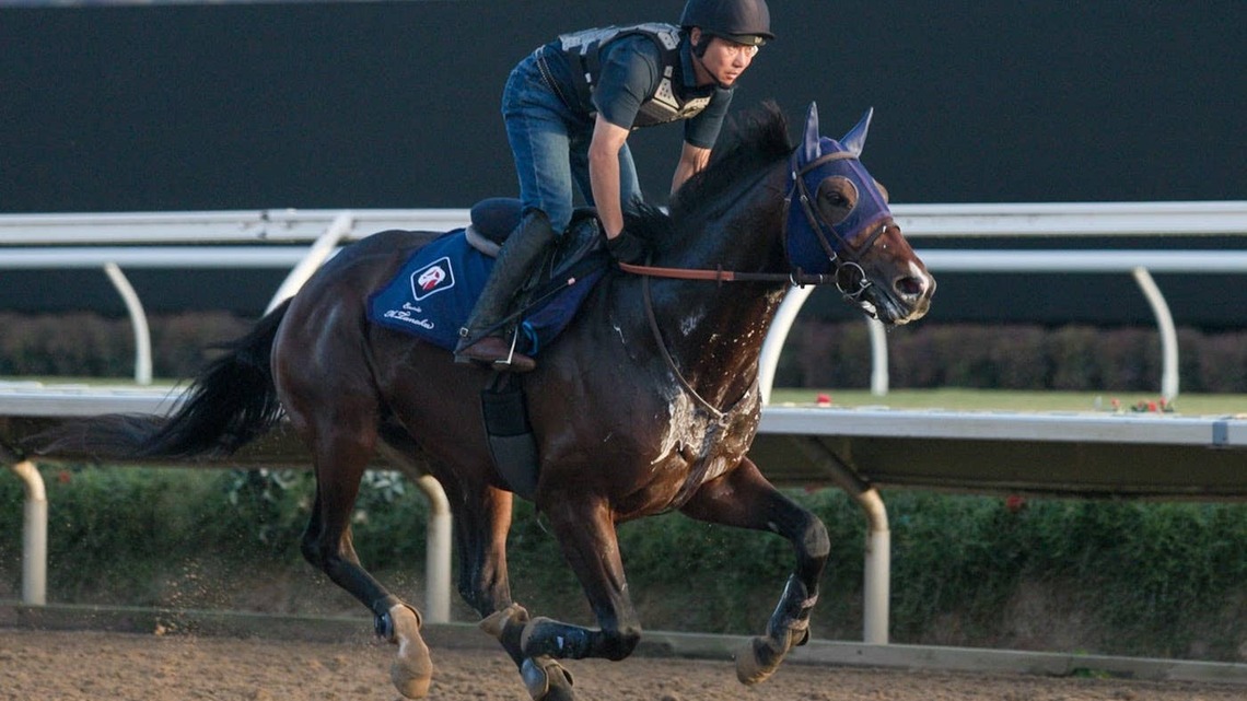 Pacific Classic Contenders Put In Final Preparations At Del Mar 