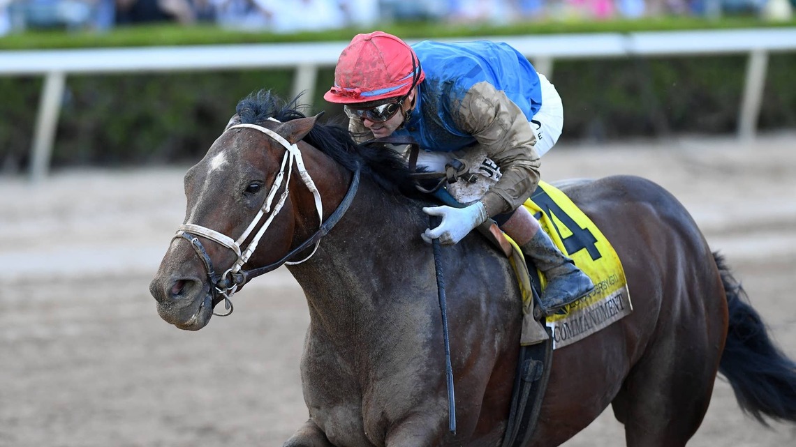 Florida Derby Winner Commandment Sidelined For Remainder Of 2026 