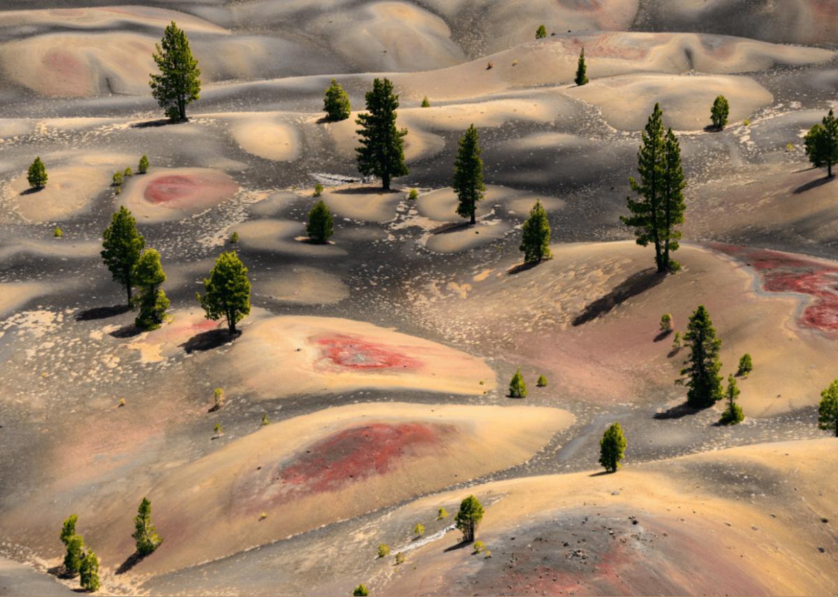 Zack Frank // Shutterstock 