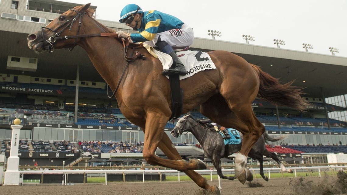 Creed's Gold Part Of Mark Casse Trio In Seaway Stakes 
