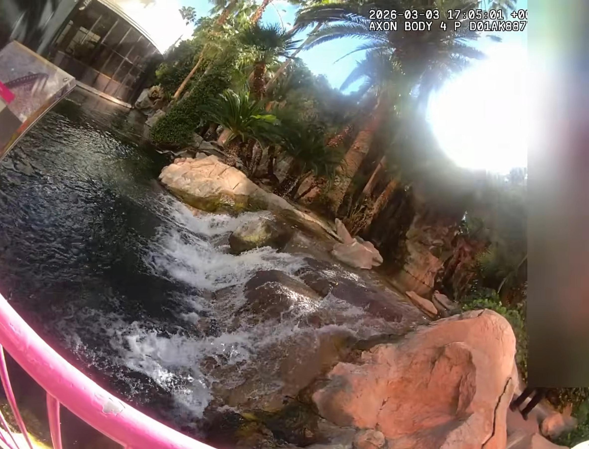 Canadian tourist who stole Las Vegas flamingo convicted of animal ...