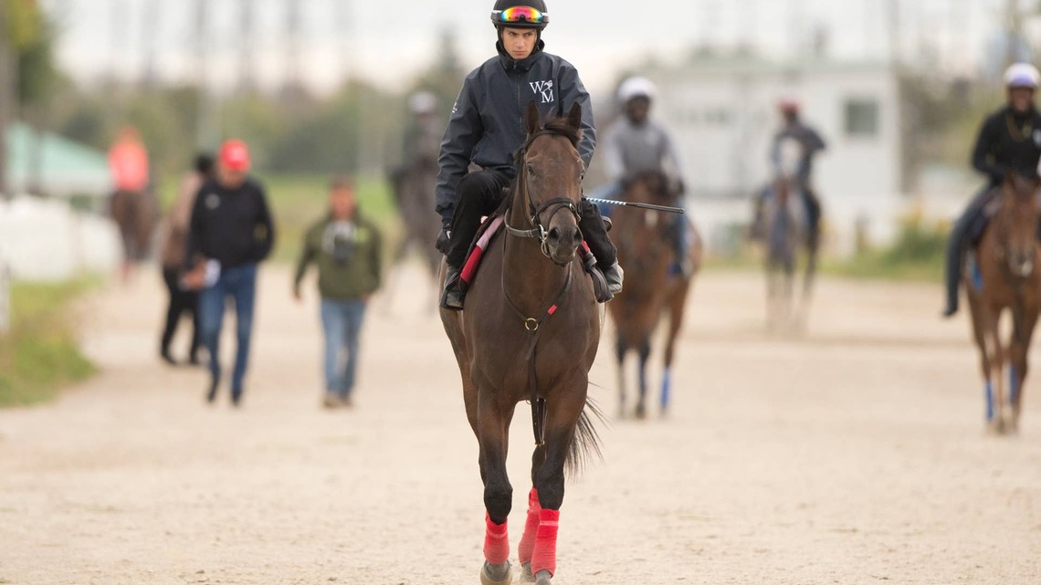 Buium Tries To Break His Maiden In Breeders' Stakes 