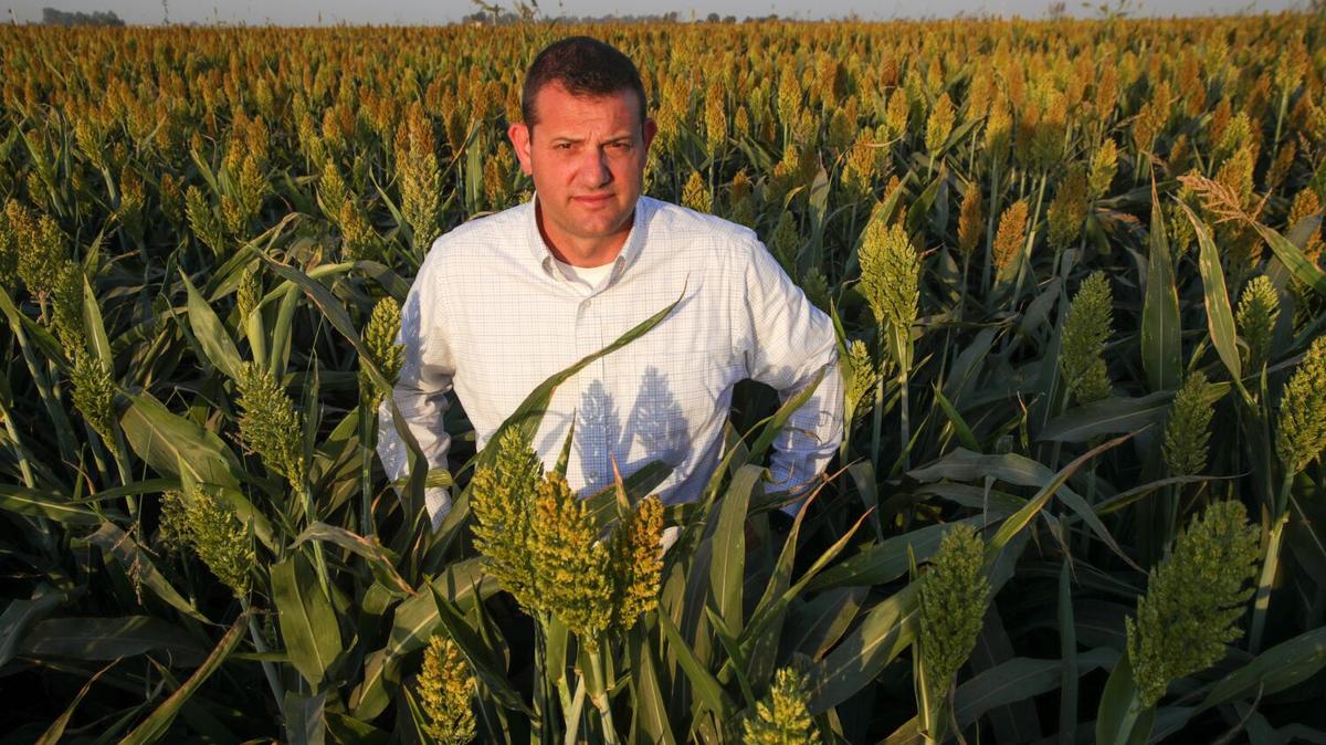 U.S. Rep. David Valadao, R-Hanford, is shown here in his milo field in October 2022. Valadao has been a top negotiator for Republicans trying to get a vote on an extension to subsidies for people with health insurance through the Affordable Care Act. 