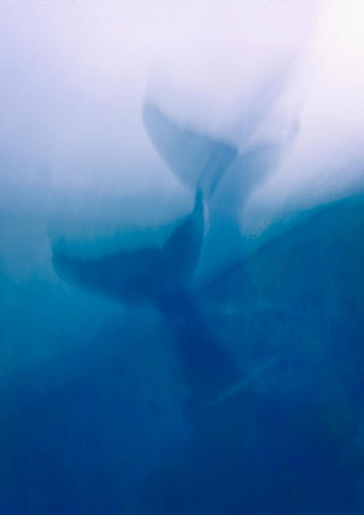  (Photo by Robert Clark via Pexels) 