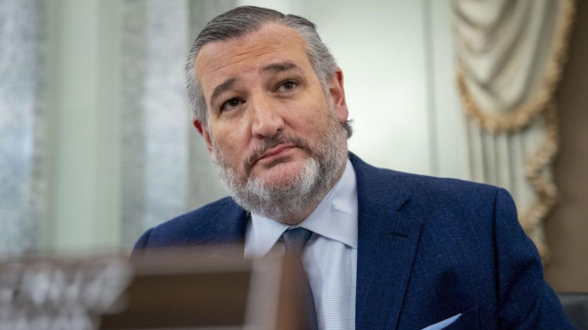 Sen. Ted Cruz, R-Texas, introduced Trey's Act in the Senate with Sen. Kirsten Gillibrand, D-N.Y. Photo by Bonnie Cash/UPI