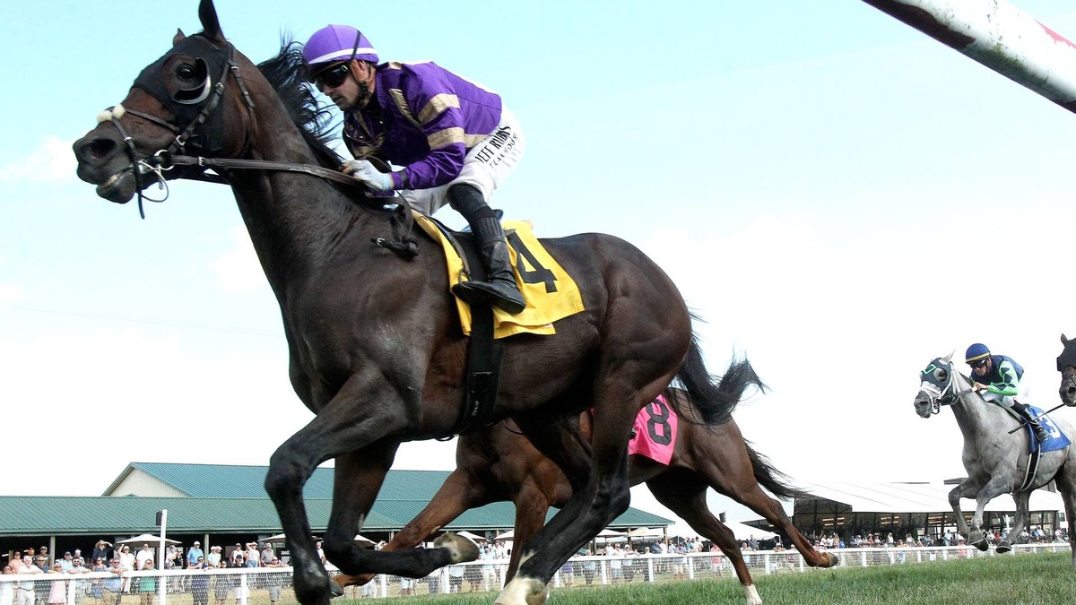 Veteran Tawny Port Captures Bowling Green Gold Cup