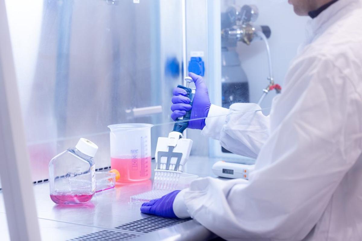 Scientists from the University of Bath working to develop a vaccine against hantavirus. (Anthony Brown / EnsiliTech via SWNS) 